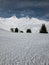 Hiding trees on a snowy hill