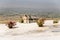 Hierapolis, Turkey. Antique crypt flooded with travertine in the necropolis