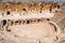 Hierapolys amphitheater