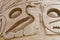 Hieroglyphic writing at Karnak, Egypt.