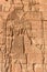 Hieroglyphs of Nubian egyptian gods