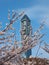 Higashiyama Sky Tower with the flowering sakura cherry trees on the foreground. Nagoya. Japan