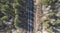 High aerial drone view of an railroad across the spring forest. Rural places