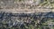 High aerial drone view of an railroad across the spring forest. Rural places