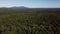 High aerial panoramic view of the forest in the surrounding of Stornoway