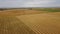 High aerial summer harvest shot over hay rolls and swathed wheat fields