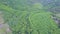 High Aerial View Jungle and Forest Plantations by Lake