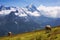 High Alpine Pastures in Switzerland