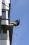 High-altitude installer installing a television antenna on a balcony of an apartment house. Kyiv, Ukraine