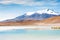 High-altitude lagoon on the plateau Altiplano, Bolivia