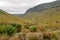 High Altitude moorland against a foggy mountain background