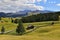 High altitude plateau meadow of Seiser Alm or Alpe di Siusi with Sassolungo Langkofel group