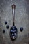 High angel closeup shot of fresh organic blueberries  silver spoon on wooden table