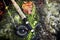 High angle closeup shot of a flyrod on the mossy rock streamside