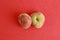 High angle closeup shot of two saturn peaches on a red background