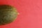 High angle closeup shot of a whole melon isolated on a red background
