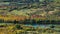 High-angle of a flock of sheep in sunlit colorful wetlands, a river near