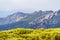 High-angle of forested mountains view against misty sunlit sky buttongrass growing near