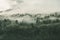 High angle shot of a beautiful forest with a lot of green trees enveloped in fog in New Zealand