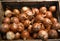 High angle shot of a bunch of onions in a brown box