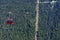 High angle shot of a cable car line riding through the forest on the Peak Cablecar