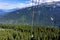 High angle shot of a cable car line riding through the forest on the Peak Cablecar