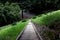 High angle shot of concrete stairs with green grasses on the sides