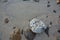 High angle shot of different rocks on the beach