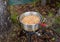 High angle shot of french fries being cooked outside during camping