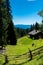 High angle shot of a house on a sloping field on a mountain with pine trees in South Tyrol, Italy