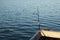 High angle shot of a person catching fish from the sea