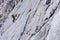 High angle shot of a person climbing a rock in the Alps in Austria - overcoming challenges concept