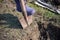 High angle shot of a person digging a soil using a shovel during daytime
