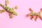 High angle shot of plastic lizard toy miniatures isolated on a color background
