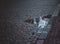 High angle shot of a puddle on a paved street reflecting buildings in Riga, Latvia