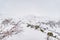 High angle shot of the snowy Austrian Alps - perfect for an article about skiing destinations