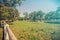 High angle shot of a sunny field at Lipica, Slovenia and horses grazing in the background