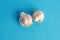 High angle shot of two bulbs of garlic isolated on a blue surface