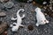 High angle shot of a white lizard and sealion toys on the ground