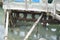 High angle shot of a wooden pier and some dirty rusty tubes on the green water