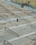 High angle vertical picture of a man descending the stairs under the sunlight