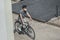 high angle view of asian teen in protective mask riding bicycle in city air
