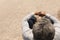 High angle view of biracial senior man with gray hair sitting at beach on sunny day