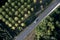 High angle view of car on road