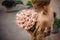 high angle view of delicate bouquet of light pink peony flowers in hands of woman