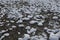 High angle view of frosty ground covered with white patches of snow on a winter day