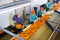 High angle view of group of people working on citrus sorting line at warehouse, checking quality of tangerines