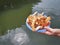 High Angle View of Hand Holding Bowl of Bread Crust for Fish Feeding