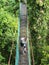 High angle view of man taking photo at suspension bridge in tree top canopy walkway in Danum rain forest Lahad datu