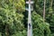 High angle view of man taking photo at suspension bridge in tree top canopy walkway in Danum valley rain forest